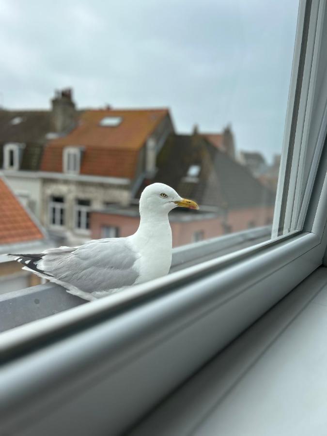 Experience Malouine - Appt T3-Coeur De Malo-Plage Dunkirk Kültér fotó